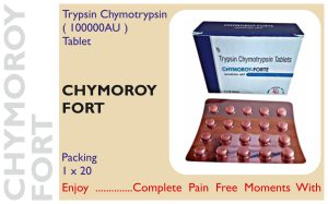CHYMOROY FORT