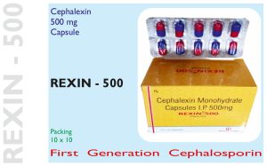 REXIN - 500