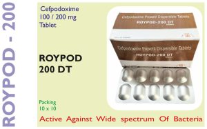 ROYPOD 200 DT
