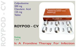 ROYPOD  CV