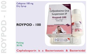 ROYPOD  100