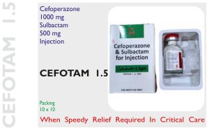 CEFOTAM  1.5