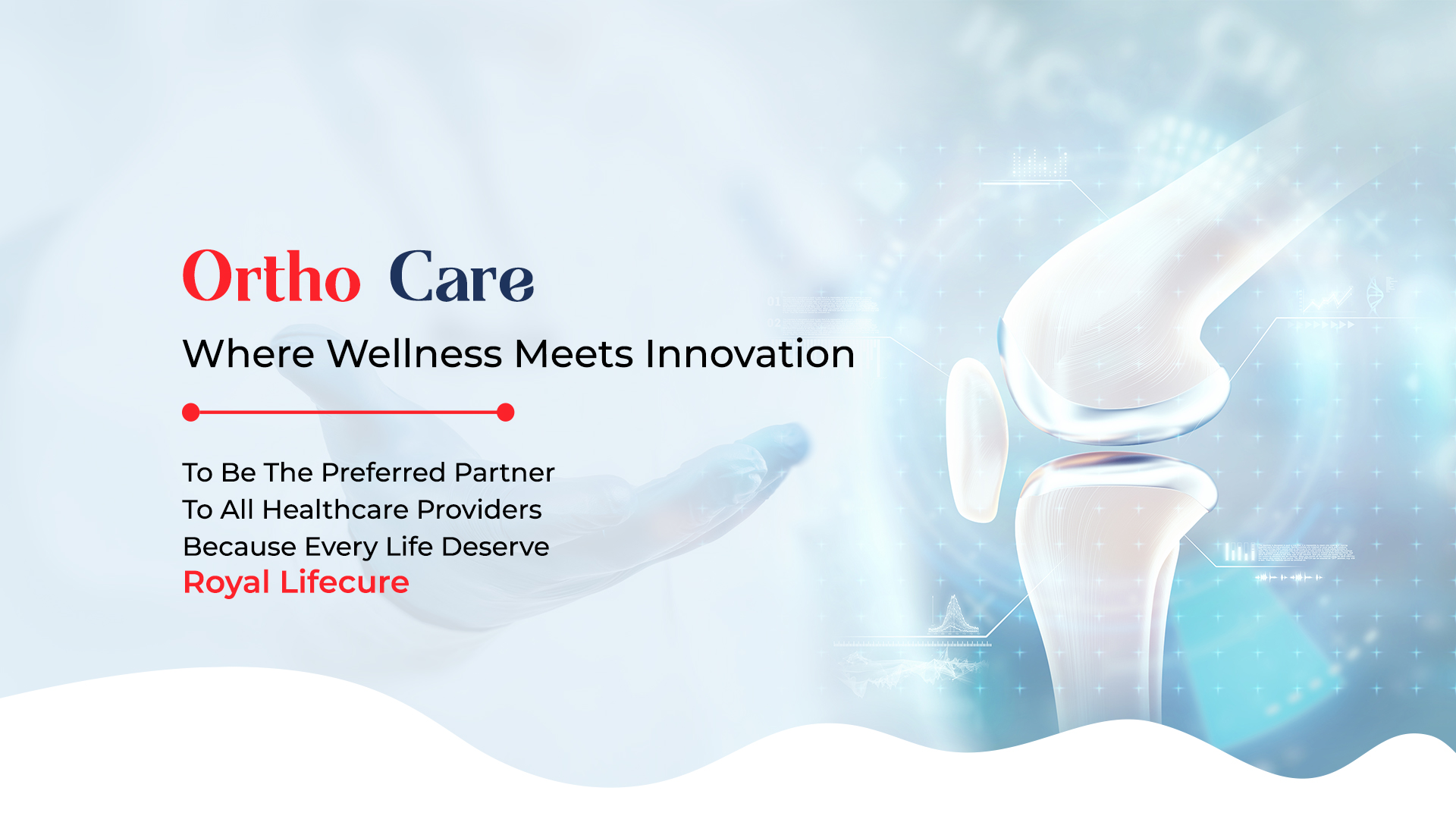 Ortho-Care-3